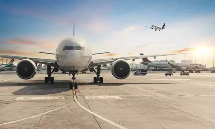 Bird hit Air India plane flew from Colombo to Chennai, grounded after post