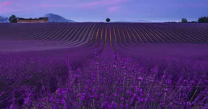 20 Breathtaking Landscape Photos From The 2024 ReFocus Awards