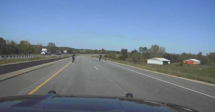 VIDEO: Verona police turn a dangerous moment into a unique bird rescue