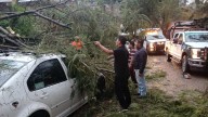 Atienden caída de árboles y anegación por lluvias en Oaxaca de Juárez