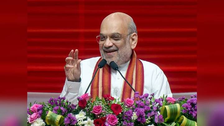 'Sanghs Have Hoisted Flag Of Devotion': Shah On RSS's 100 Yrs Service India News