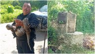 Policía rescata a boa de 4 metros que cayó en un pozo en comisaría de Umán