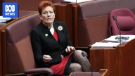 Hanson rubbishes Joyce leadership speculation, Albanese gets two thumbs up
