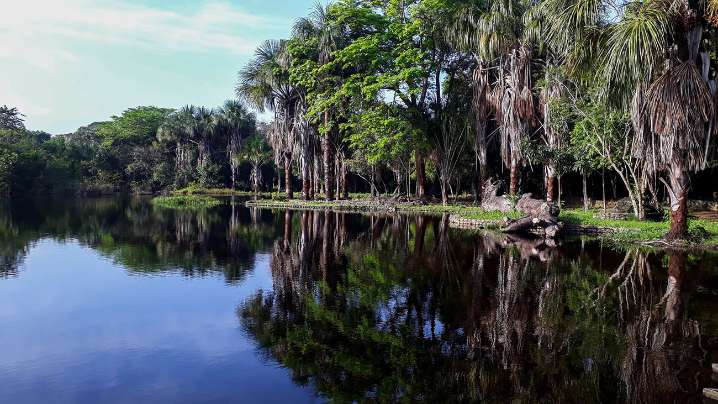 Cómo cuidar el agua, fuente de vida y equilibrio en la Tierra