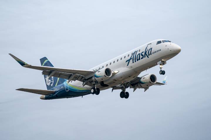 Regional airline forced to ground all flights, more than 220 flights affected