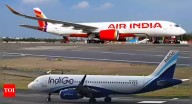 Government asks airlines to increase flights & keep fares in check