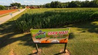 List of pumpkin patches, mazes, hayrides, more