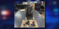 Seymour man arrested for car break-ins, drug possession