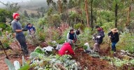 Pagos por restaurar ecosistemas: El nuevo instrumento aprobado en Chile para beneficiar a quienes cuidan bosques o mares