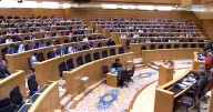 El rostro del PSOE tras la moción sobre Gaza tumbada por PP y Vox en el Senado