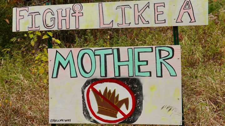 Live: 'No Kings' events nationwide expected to be 'boisterous, joyful'