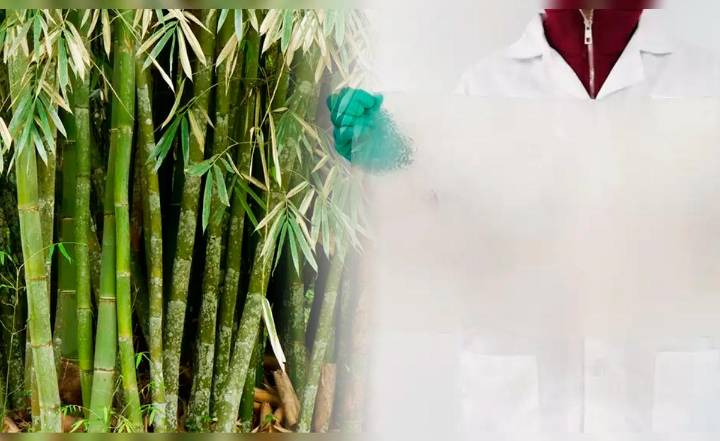 Adiós al plástico contaminante: China desarrolla un revolucionario material biodegradable y ultra resistente
