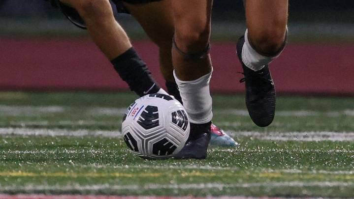 How Long Island's new minor-league soccer team could impact the high school game