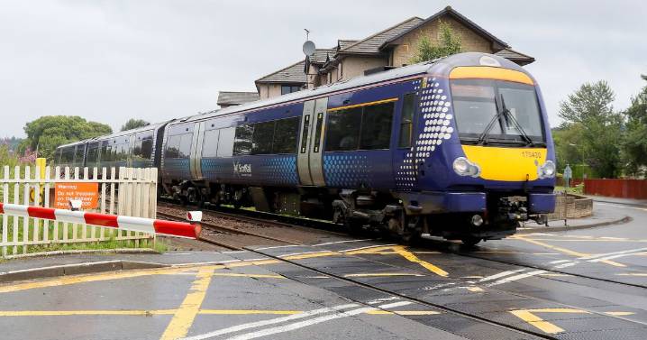 Train drivers forced to 'slam brakes on' as people ignore safety warnings at Cornton level crossing