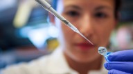 Report: Next five years will be pivotal for bioscience in Arizona