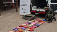 Envían a juicio a 5 santafesinos detenidos con más de 30 kilos de cocaína en Santiago del Estero