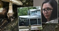 Why prosecutors are appealing Erin Patterson's sentence