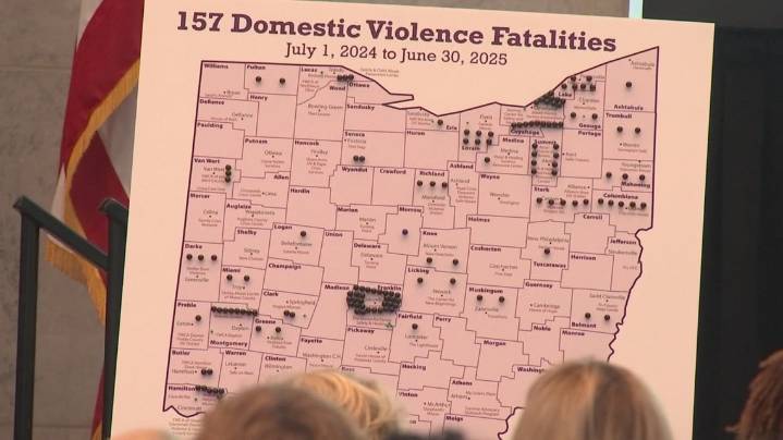 New report finds domestic violence deaths reach 10