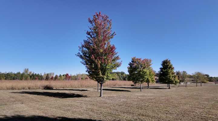 Fall lawn care you can do now during drought