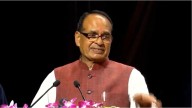 Govt Orders Immediate Probe into Pomegranate Crop Disease Outbreak in Rajasthan’s Balotra; ICAR Team to Assess Situation