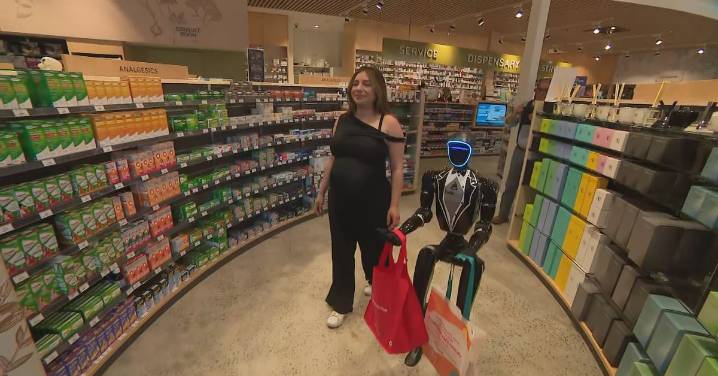 Artificial Intelligence: Woody the robot aims to help Sydney shoppers