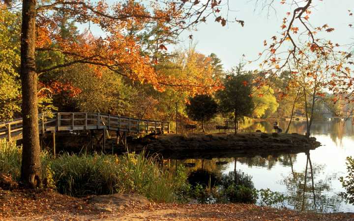 Yes, Texas Has a Real Fall. You Just Need to Work a Little Harder to Find It.