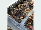 New compost drop-off program to divert food waste in Washtenaw County