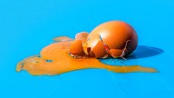 What’s behind the wave of egg recalls — and why it’s not slowing down