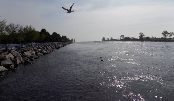 After 40 Years and $84 Million, Lake Muskegon Flourishing Free from Pollution and Sawdust