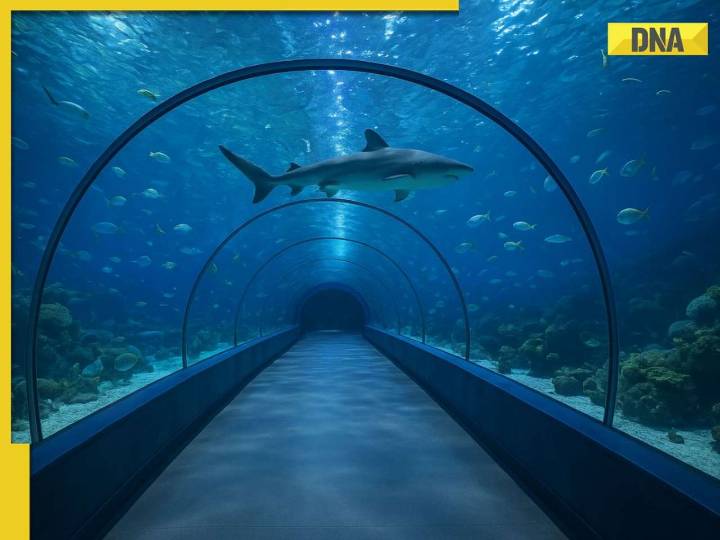 India set to unveil its first longest underwater tunnel in Brahmaputra River