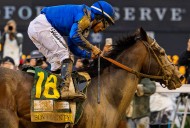 Sovereignty Tops the Board as Breeders’ Cup Classic Odds Are Released