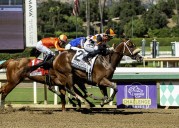 Intrepido beats traffic to win Breeders’ Cup qualifier at Santa Anita