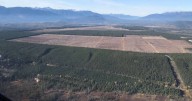 No refund for Chinese developer of stalled B.C. industrial park