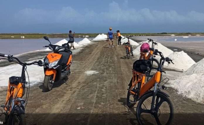 Ruta Aves de Sal en Pampatar entre el avistamiento y disfrute del mar