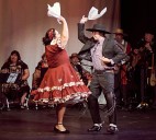 Celebration of dance diversity coming to Valley