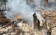 Lower Sugarloaf Fire Nearly Out After 41 Days, Now 90% Contained