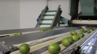 Hasta 20% del costo de agroalimentarios responde a pagos al crimen: productores