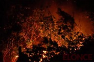 Se produjo un incendio en Parque Varisco: hubo múltiples focos activos