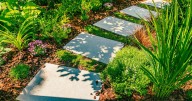 Why fall is the best time to mulch, according to gardening experts