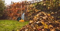 Monty Don advises UK households with gardens to do one key lawn job this October