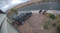 Small dog mauled in attack caught on video, owner looking for accountability