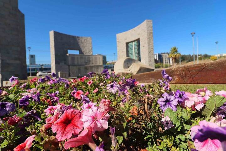 La política de la semana: anuncian consulta ciudadana y financiamiento para el Museo de la Memoria