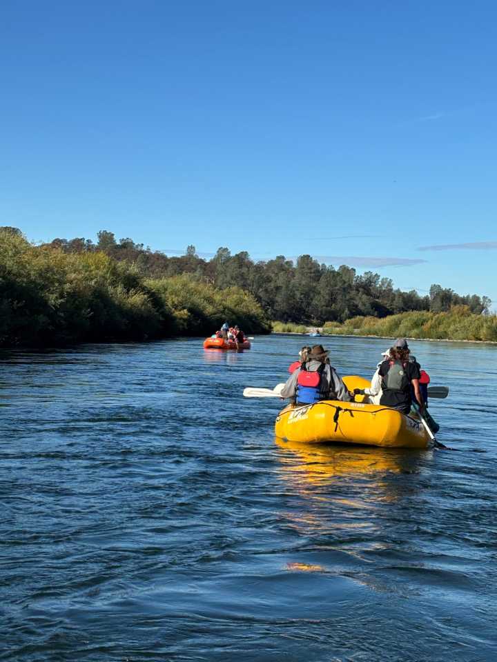 SYRCL Invites Families to Public Salmon Expeditions on the Lower Yuba River