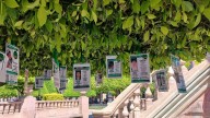 "Nos arrancaron la esperanza": Reinstalan fichas de desaparecidos en "Árbol de la Esperanza" en León