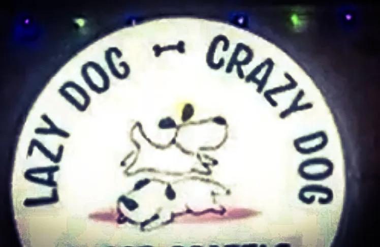 Seattle Kennel Worker Charged With Animal Cruelty After Dog’s Death
