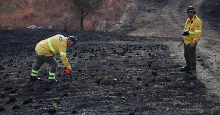 En busca del origen del fuego: así trabajan los 'sabuesos' de los incendios forestales en Málaga