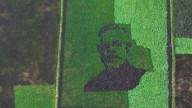 Ace Farmer In Kerala's Wayanad Stuns With Paddy Portrait Of Prime Minister Narendra Modi