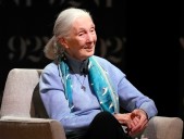 Jane Goodall, the gentle disrupter whose research on chimpanzees redefined what it meant to be human