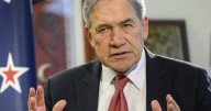 Protester attacks New Zealand foreign minister's home
