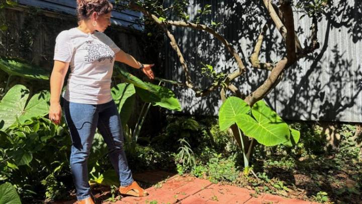 A long-lost ancient Roman artifact reappears in a New Orleans backyard